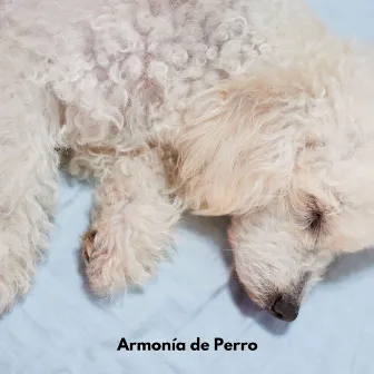 Armonía de Perro by Música para Perros Clásico