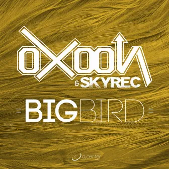 BigBird by Skyrec