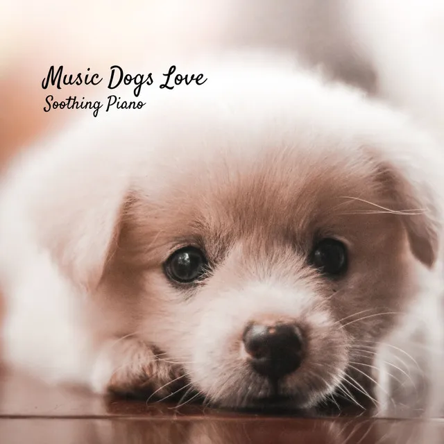 Music Dogs Love: Soothing Piano