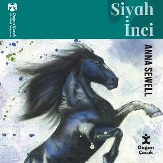 Siyah İnci by Anna Sewell