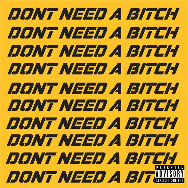 Don't Need a Bitch