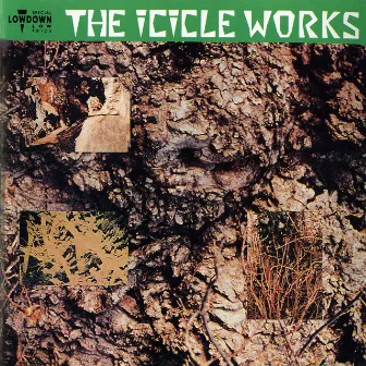 The Icicle Works by The Icicle Works