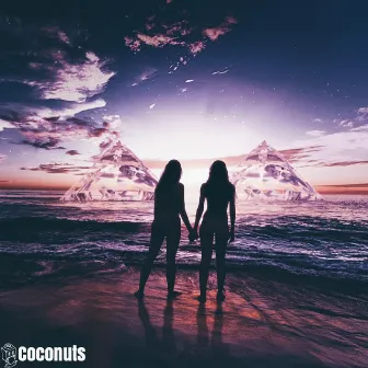 Coconuts by AQUA STONE THRONE