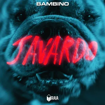 Javardo by Bambino