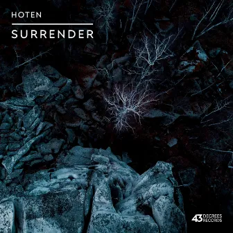 Surrender by Hoten