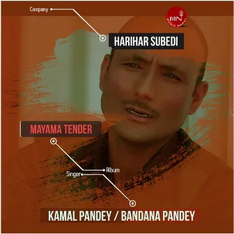 Mayama Tender by Bandana Pandey