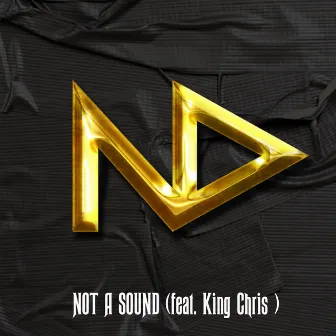 Not a Sound (feat. King Chris) by Nowdaze