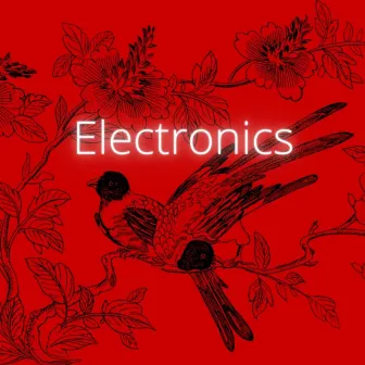 Electronics by XIDIA