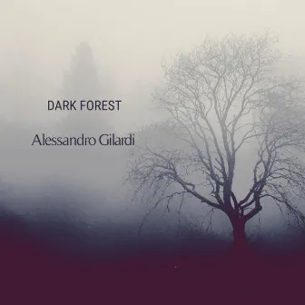 Dark Forest by Alessandro Gilardi