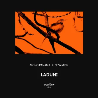 Laduni by Mono Panama