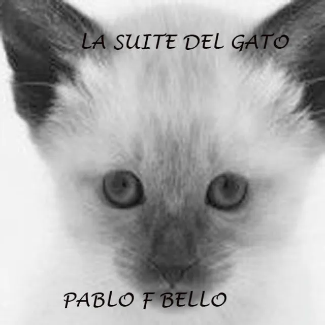 La Suite del Gato