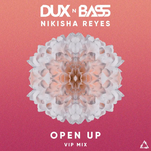 Open Up - Vip Mix