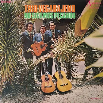 No Sigamos Pecando by Trio Vegabajeño