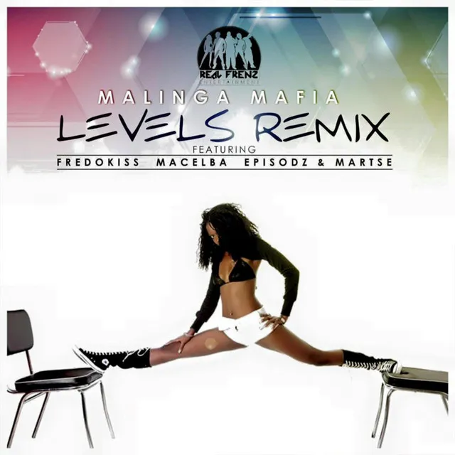 Levels - Remix