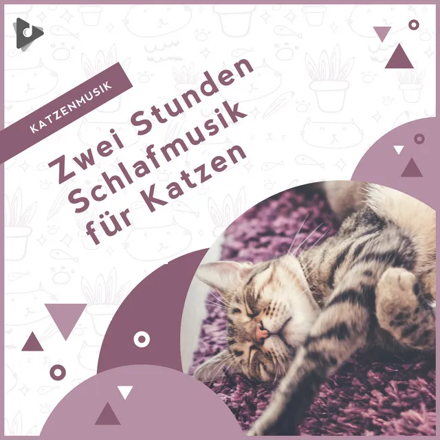 Zwei Stunden Schlafmusik für Katzen