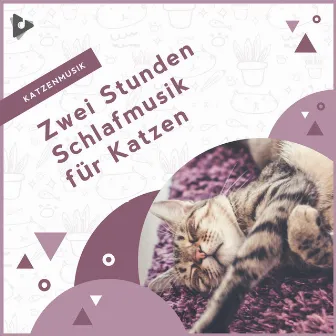 Zwei Stunden Schlafmusik für Katzen by Beruhigende Kätzchenmusik