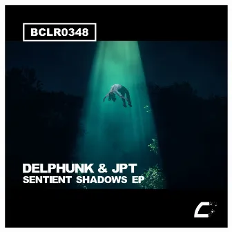 Sentient Shadows EP by Delphunk