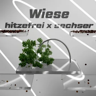 Wiese by Sechser