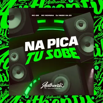 Na Pica Tu Sobe by DJ Nego da ZO