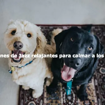 Canciones de Jazz relajantes para calmar a los perros by Good Morning Jazz