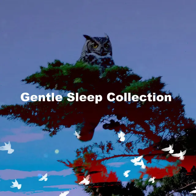 Gentle Sleep Collection