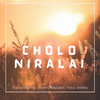 Cholo Niralai (Soft Unplugged) by Naved Parvez