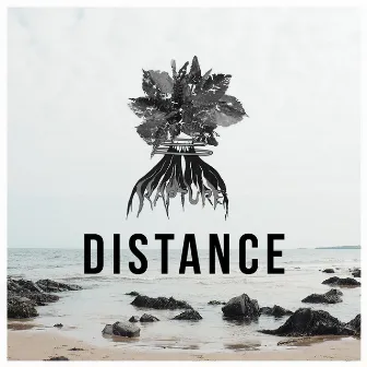 Distance by Rapture