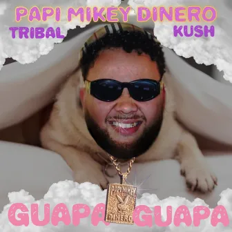 Guapa Guapa by Papi Mikey Dinero