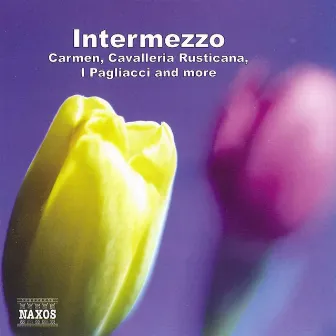 Intermezzo by György Selmeczi