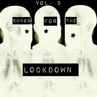 Songs for the Lockdown, Vol. 3 by Ryan Toby