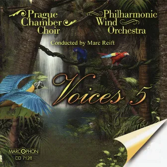 Voices 5 by Prague Chamber Choir