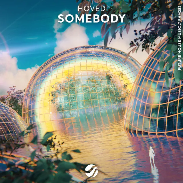 Somebody