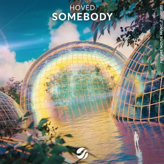 Somebody by Hoved