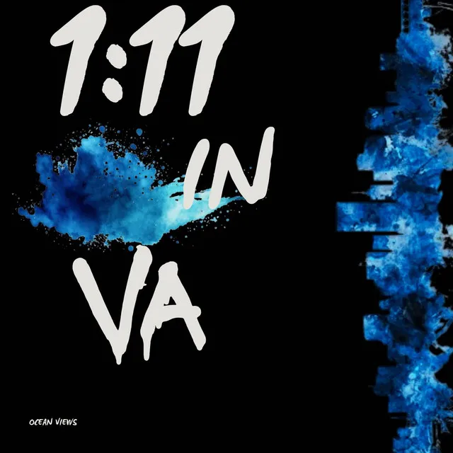 111 IN VA