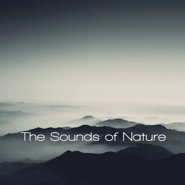 The Sounds Of Nature