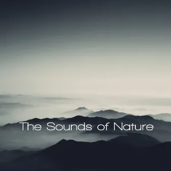 The Sounds Of Nature by The Sounds Of Nature