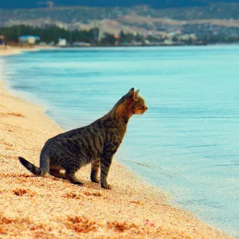 Coastal Feline Zen: Binaural Waves for Calming Cat Vibes by Oceans and Oceans