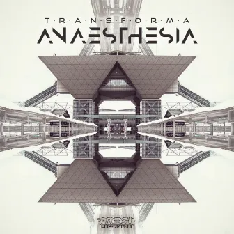 Anaesthesia by Face Invada