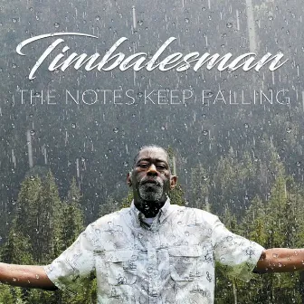 The Notes Keep Falling by Timbalesman