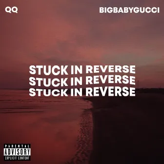 STUCK IN REVERSE by qq