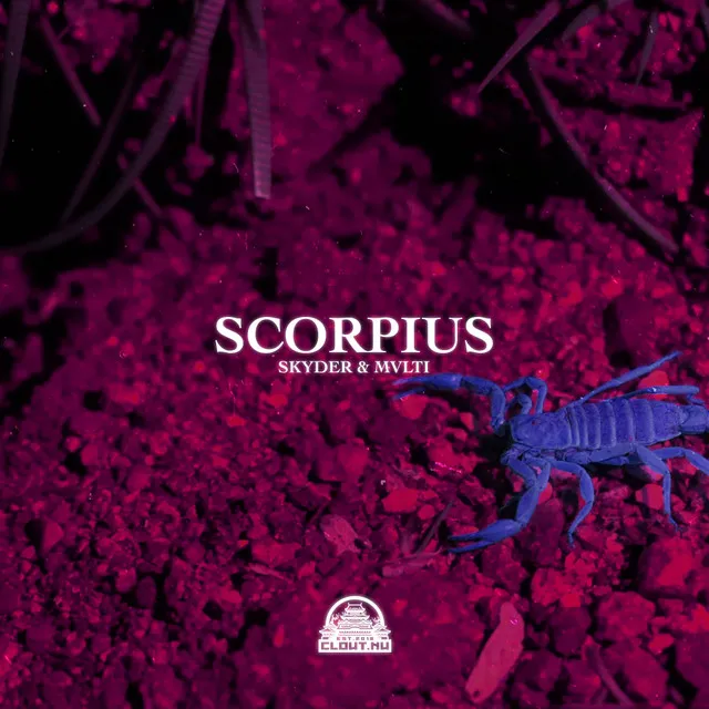 Scorpius