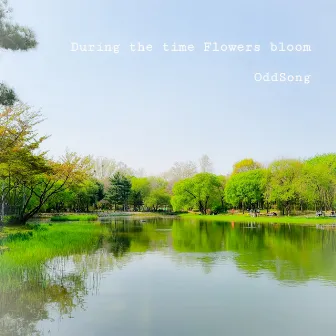 During the time Flowers bloom by OddSong