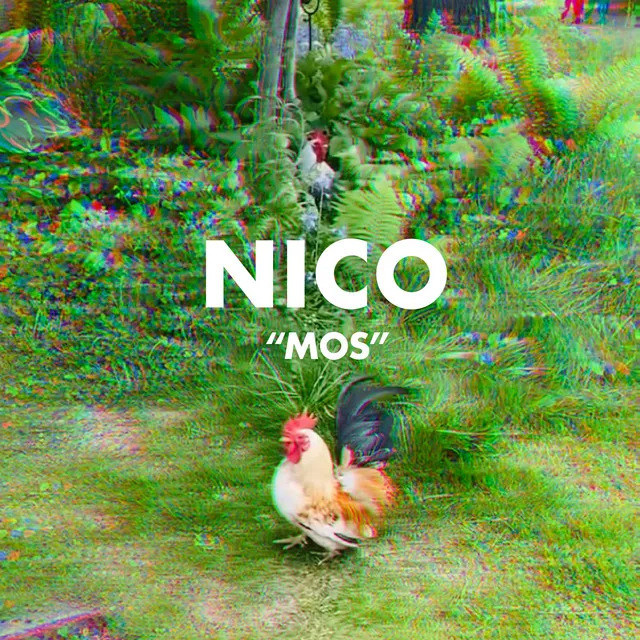 NICO