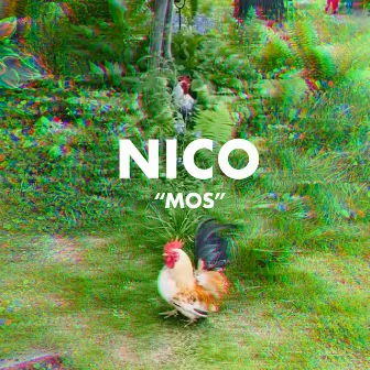 NICO by MOS