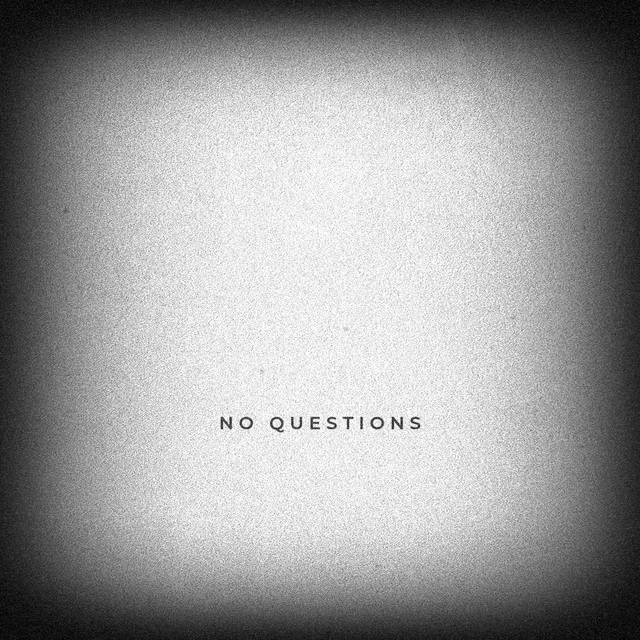 No Questions, Vol. 2