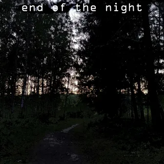 end of the night by escrxlly