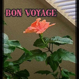 Bon Voyage by Ricky Roosevelt