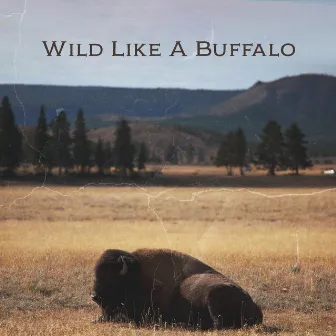 Wild Like A Buffalo by Eco Lyli