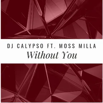 Without You by Dj Calypso