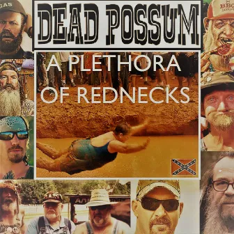 A Plethora of Rednecks by Dead Possum